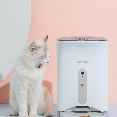 Automatic Feeder Intelligently Monitors Pet Cat Food Timing