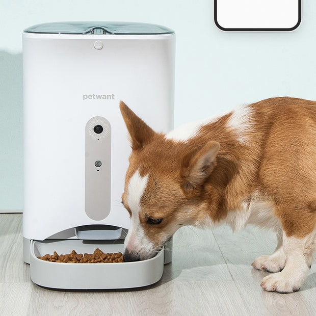 Automatic Feeder Intelligently Monitors Pet Cat Food Timing