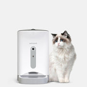 Automatic Feeder Intelligently Monitors Pet Cat Food Timing