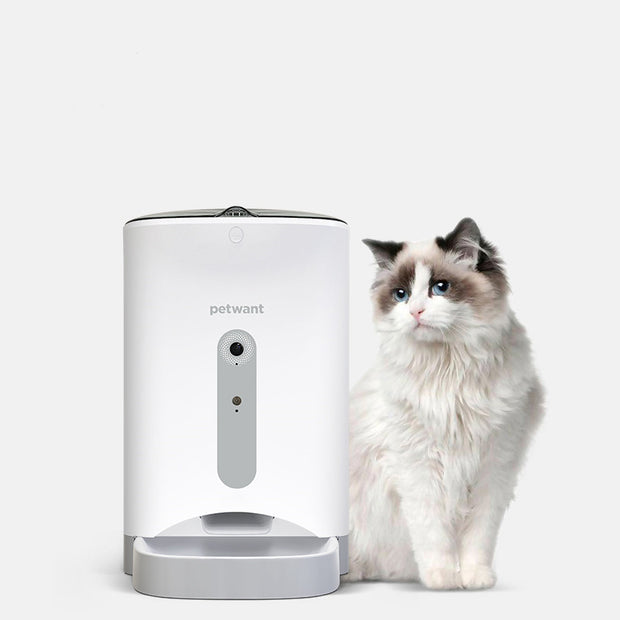 Automatic Feeder Intelligently Monitors Pet Cat Food Timing